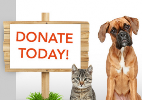 Picture of a cat and dog with a sign asking for donations